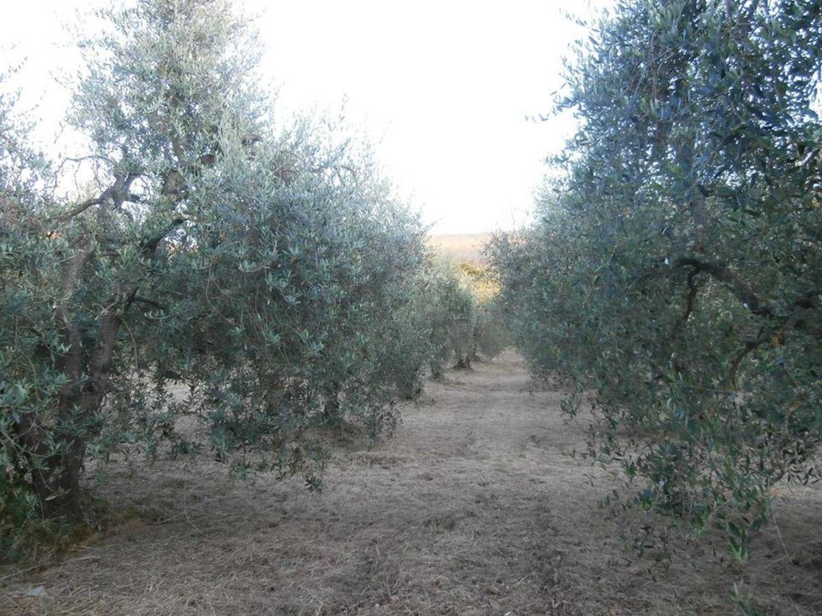 Farm stay La Fonte