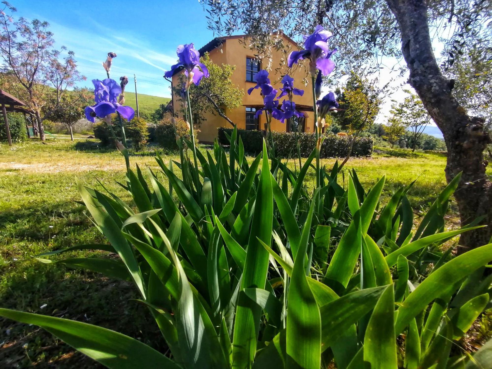 La Fonte * Volterra