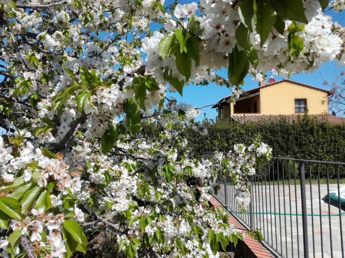 Alojamento de Turismo Rural La Fonte Volterra
